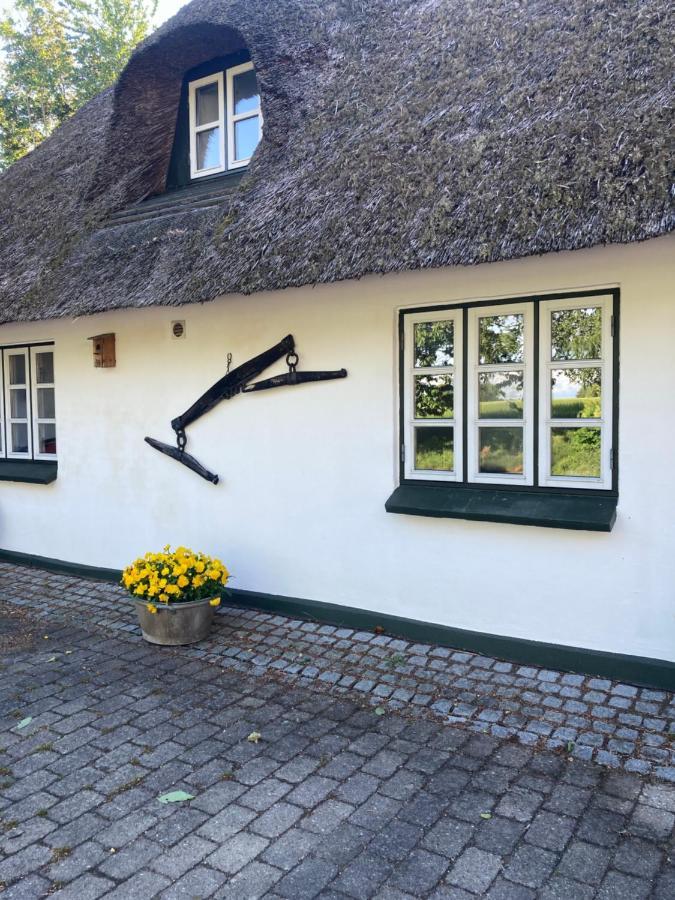 Skovlyset'S B&B Juelsminde  Zewnętrze zdjęcie