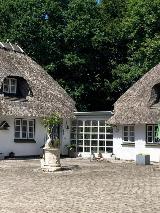 Skovlyset'S B&B Juelsminde  Zewnętrze zdjęcie