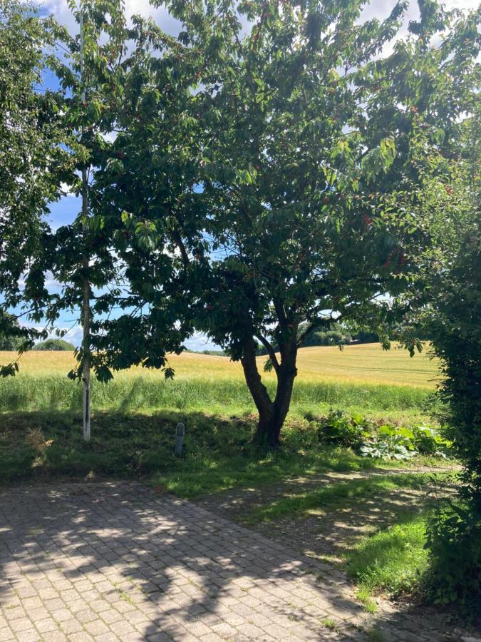 Skovlyset'S B&B Juelsminde  Zewnętrze zdjęcie