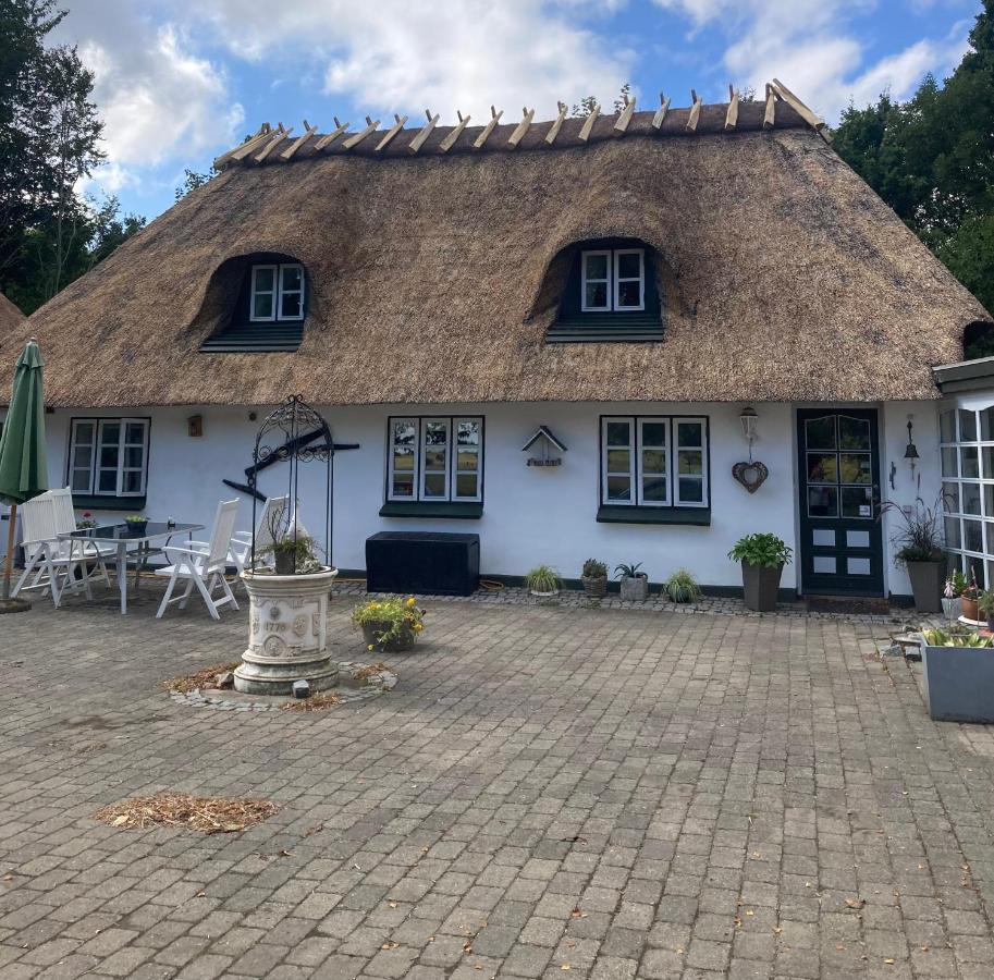 Skovlyset'S B&B Juelsminde  Zewnętrze zdjęcie